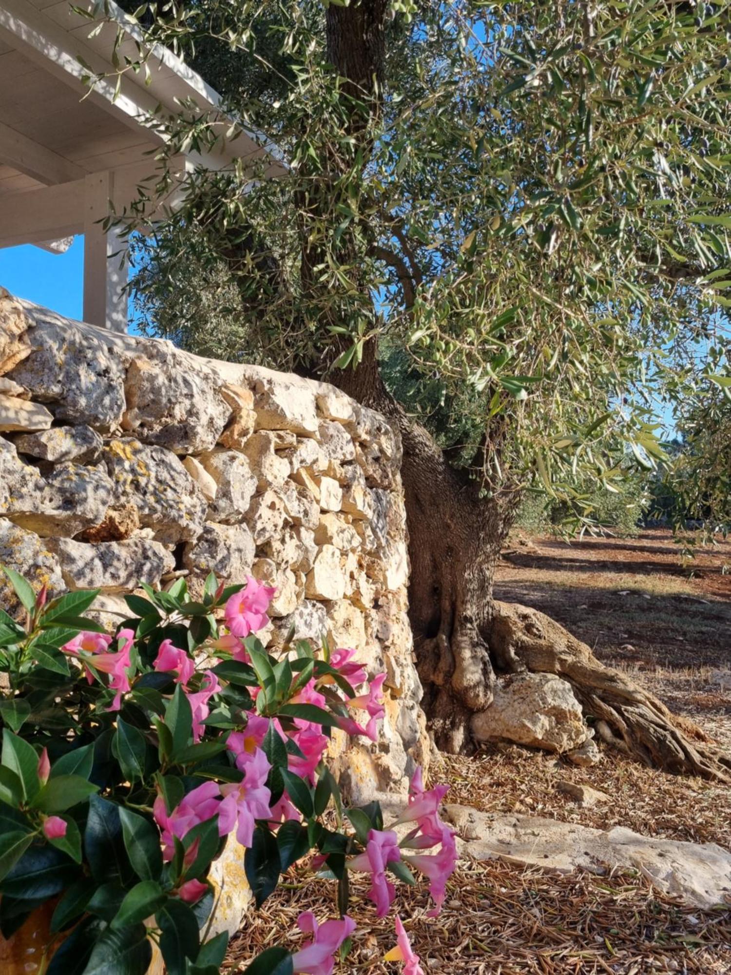 Bed and Breakfast Trulli Di Spinaruta Гротталье Экстерьер фото